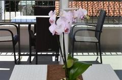 Ferienhaus Kroatien privat - Makarska - Apartment Dalmacija A3 / 12