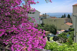 Apartments near the beach in Makarska - Apartment Rose