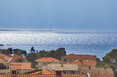 Ferienwohnung Makarska privat - Appartment Dzajic