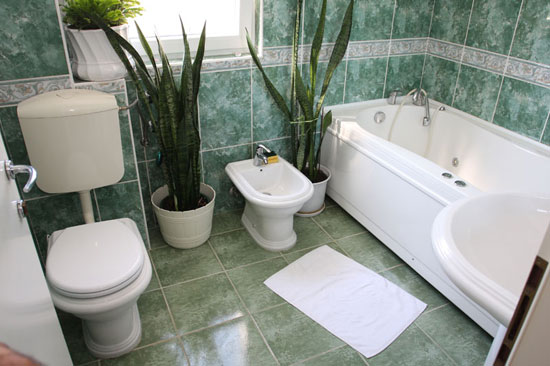  Makarska privatni apartmani dzajic