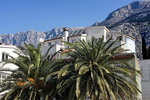 makarska apartments private accommodation