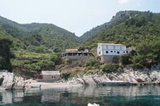 villa pakomina otok hvar