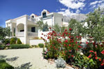 Croatian Villas - House with pool in Makarska, Villa Damir